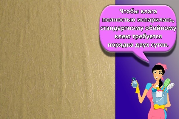 Чтобы влага полностью испарилась, стандартному обойному клею требуется порядка двух суток.
