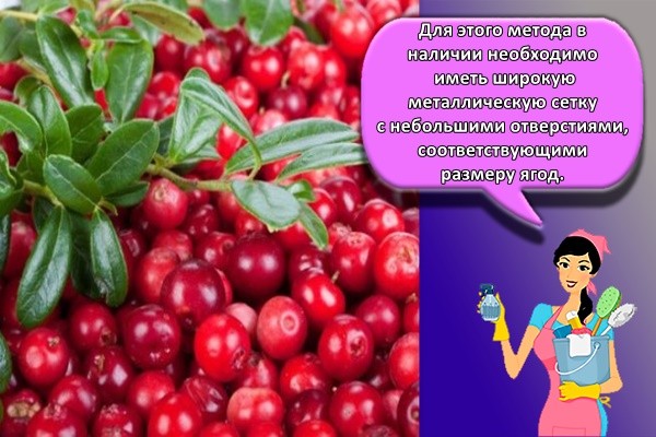 Для этого метода в наличии необходимо иметь широкую металлическую сетку с небольшими отверстиями, соответствующими размеру ягод.