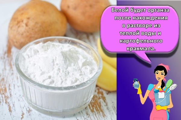 Белой будет органза после нахождения в растворе из теплой воды и картофельного крахмала
