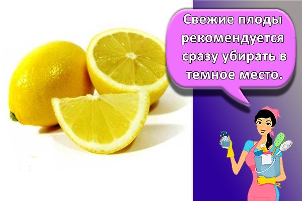 Свежие плоды рекомендуется сразу убирать в темное место.