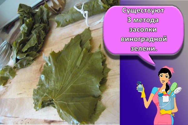 Существуют 3 метода засолки виноградной зелени.