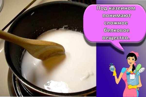 Под казеином понимают сложное белковое вещество.