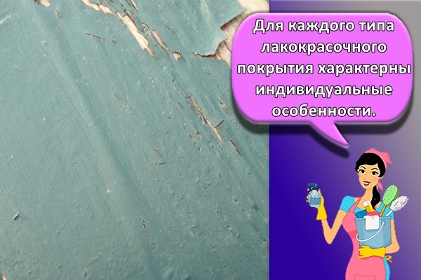 Для каждого типа лакокрасочного покрытия характерны индивидуальные особенности.