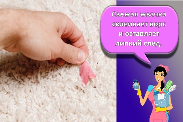 жвачка