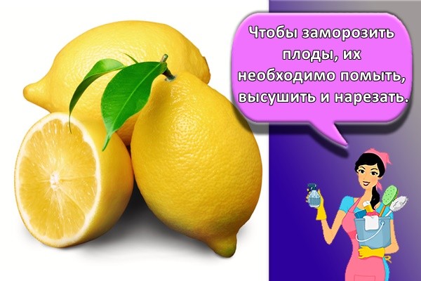 Чтобы заморозить плоды, их необходимо помыть, высушить и нарезать.