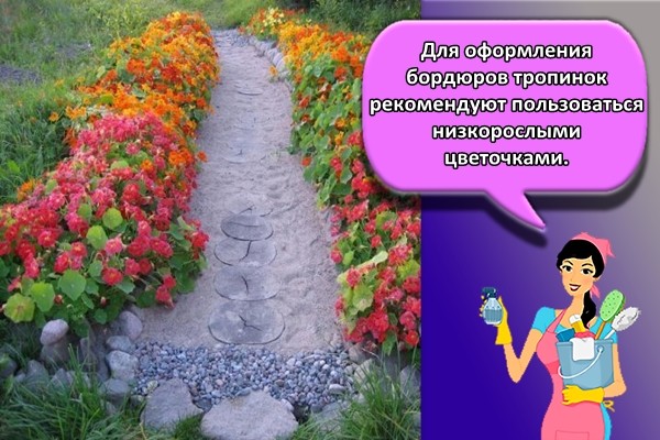 Для оформления бордюров тропинок рекомендуют пользоваться низкорослыми цветочками.