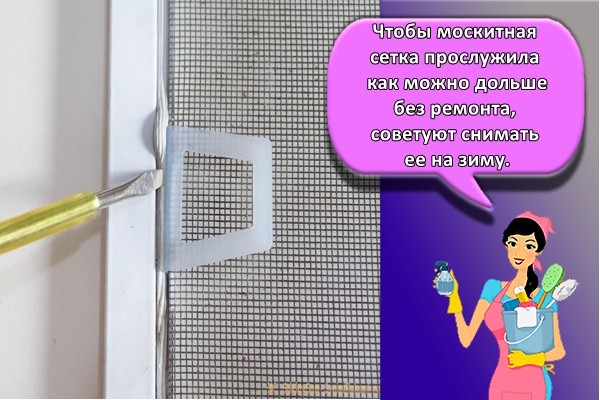 Чтобы москитная сетка прослужила как можно дольше без ремонта, советуют снимать ее на зиму.