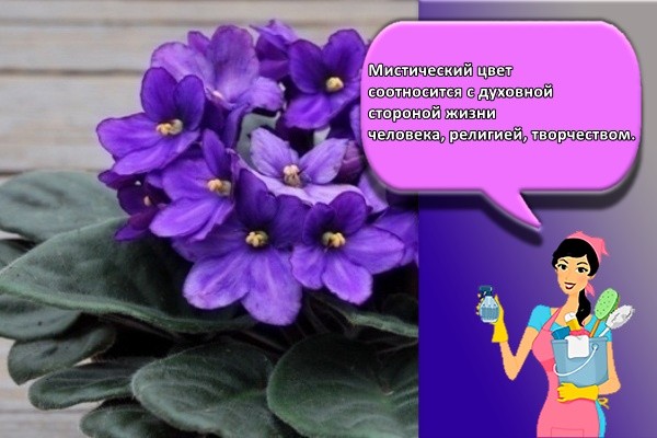 Мистический цвет соотносится с духовной стороной жизни человека, религией, творчеством.