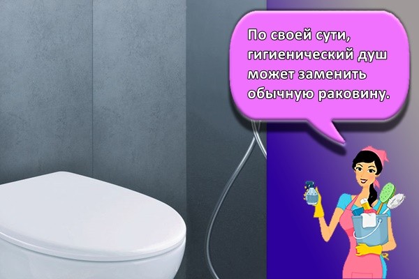 По своей сути, гигиенический душ может заменить обычную раковину.