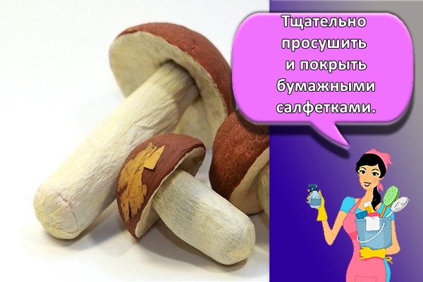 Тщательно просушить и покрыть бумажными салфетками