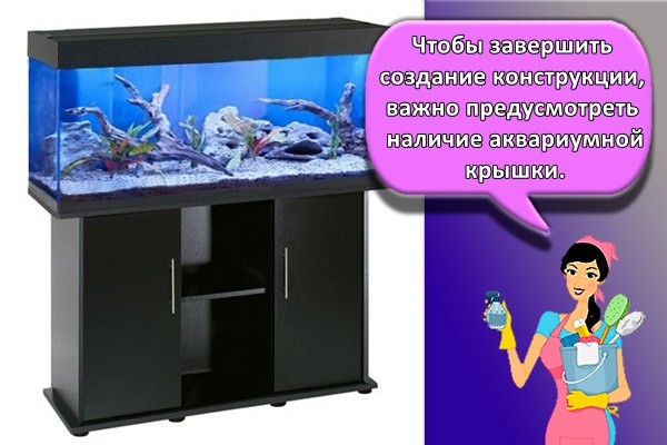 красивый аквариум