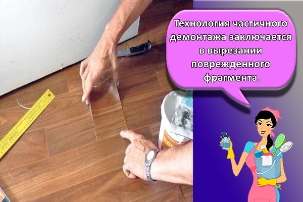 Технология частичного демонтажа заключается в вырезании поврежденного фрагмента.