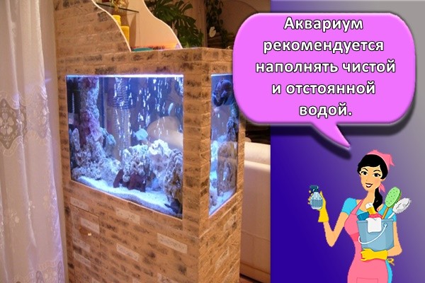 красивый аквариум