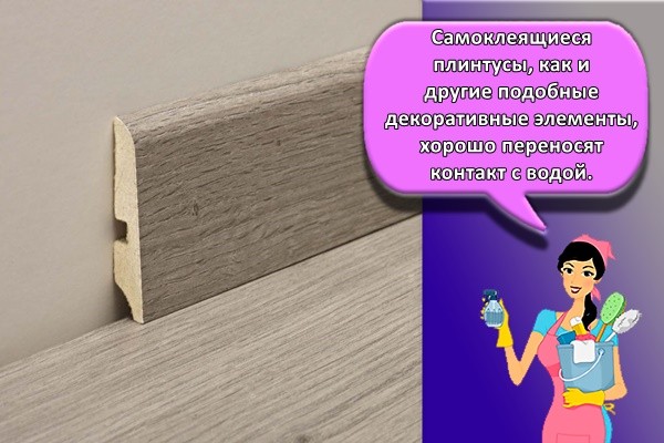 деревяный плинтус