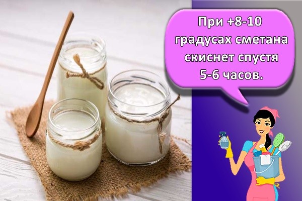 банки со сметаной