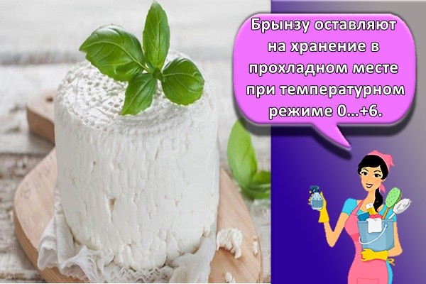 домашняя брынза