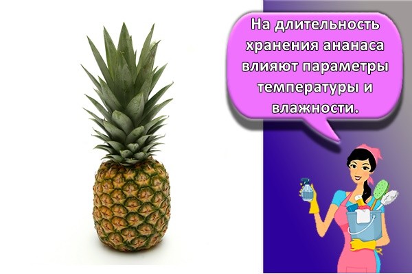 свежий ананас