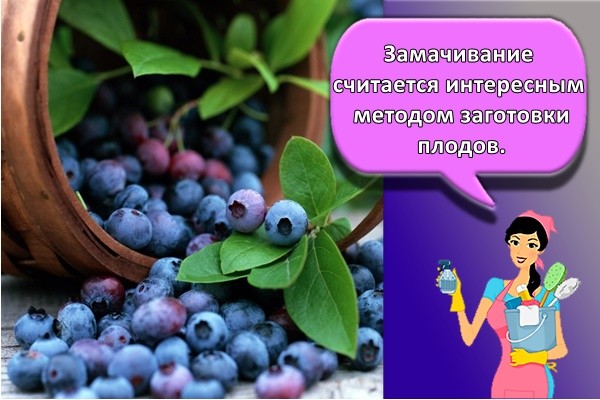 много ягод