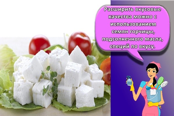 куски сыра