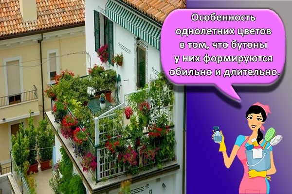 красивый балкон