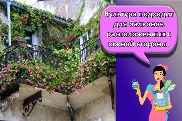красивый балкон