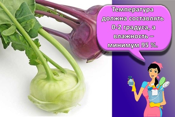 капуста кольраби
