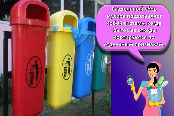 контейнеры для мусора