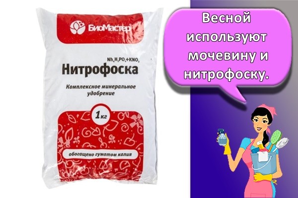Весной используют мочевину и нитрофоску. П