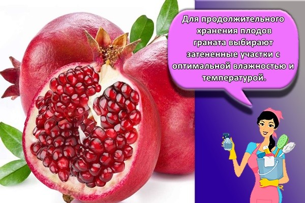 спелый гранат