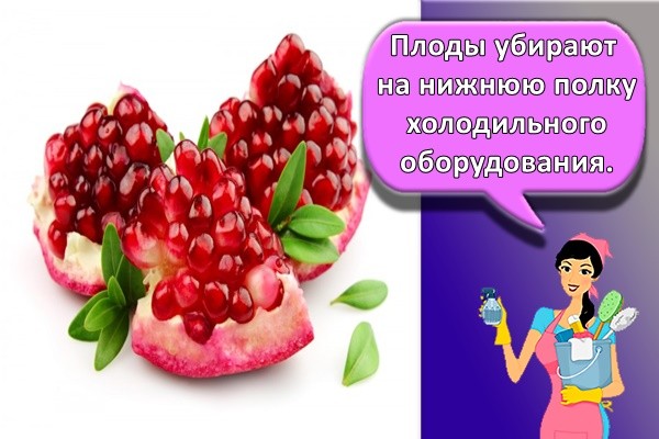 гранат спелый