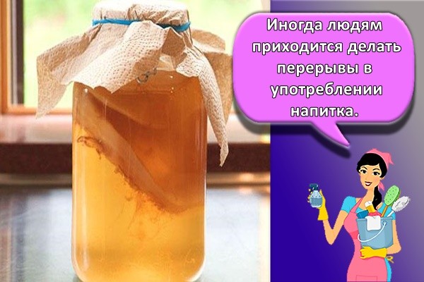 чайный гриб