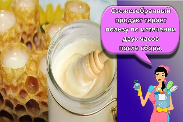 Свежесобранный продукт теряет пользу по истечении двух часов после сбора.