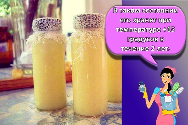 маточное молоко
