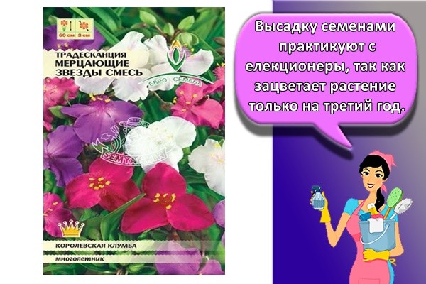 семена цветов