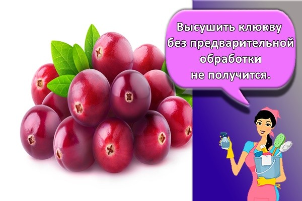 как хранить