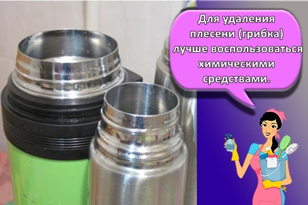 Для удаления плесени (грибка) лучше воспользоваться химическими средствами.
