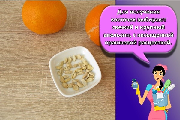 два апельсина