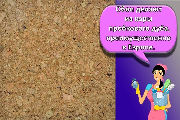 пробковые обои