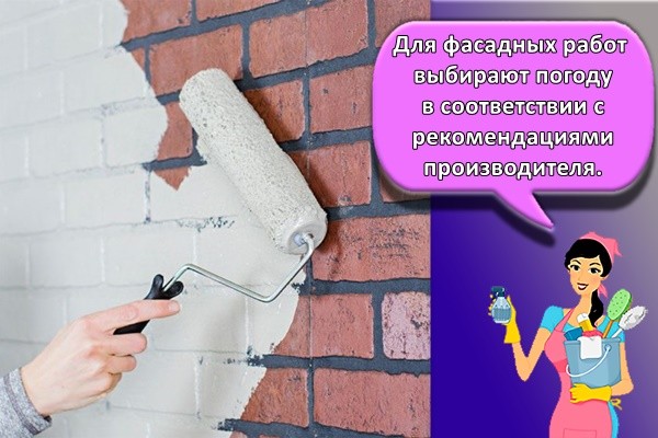 покраска стен