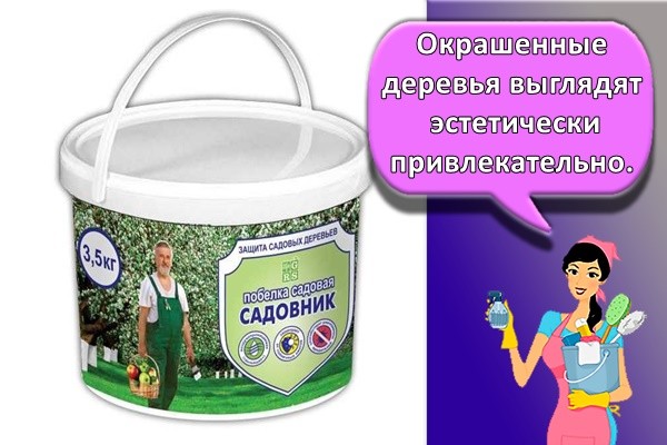 Окрашенные деревья выглядят эстетически привлекательно.