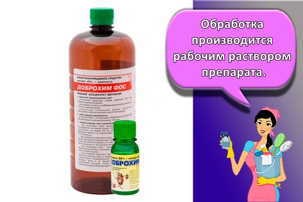 Обработка производится рабочим раствором препарата.